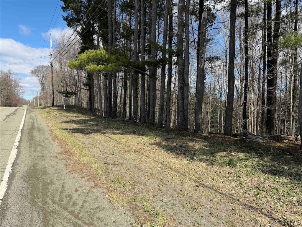 Broadway Road Gowanda, NY 14070 - Photo 29 of 31