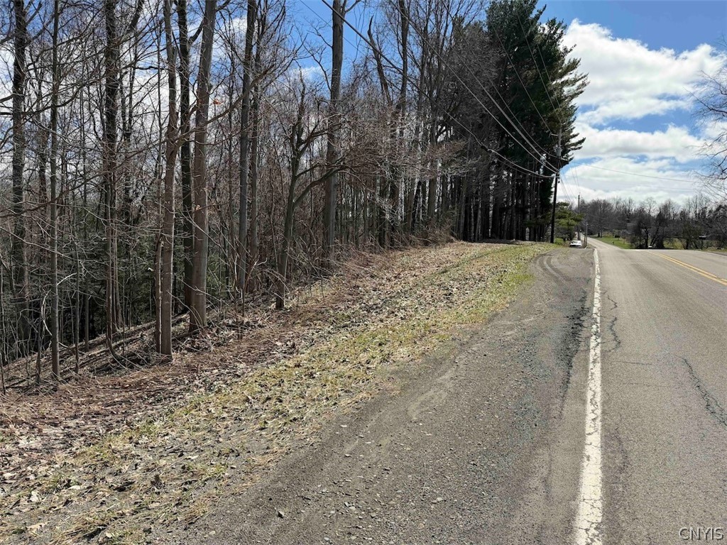 Broadway Road Gowanda, NY 14070 - Photo 30 of 31