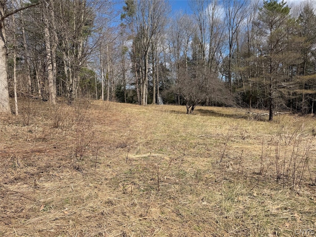 Broadway Road Gowanda, NY 14070 - Photo 4 of 31