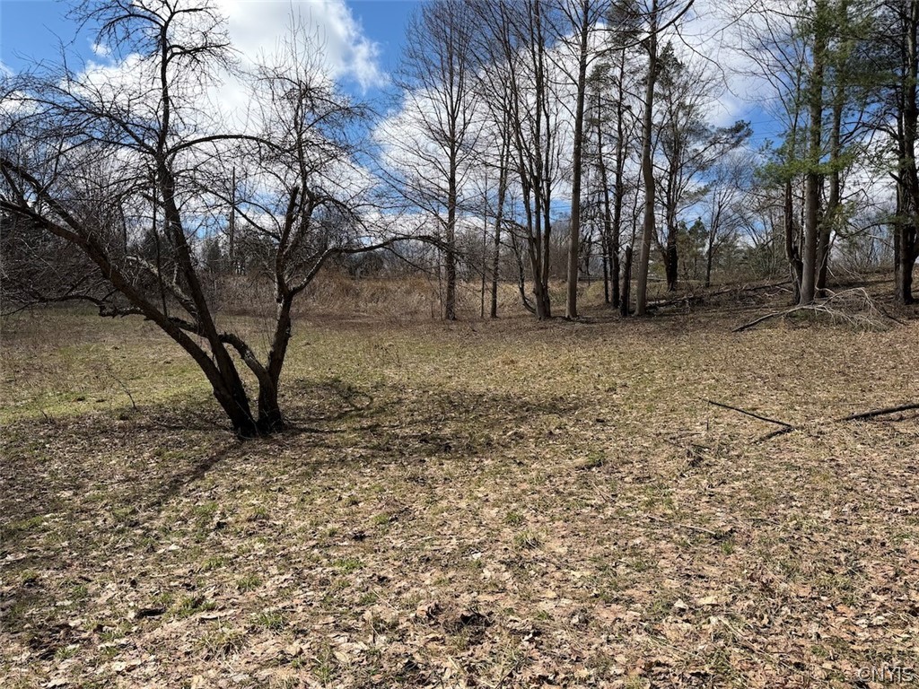 Broadway Road Gowanda, NY 14070 - Photo 5 of 31