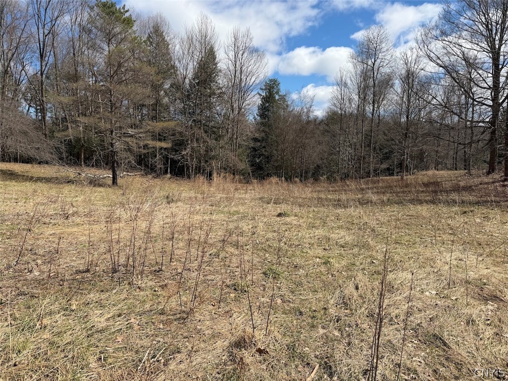 Broadway Road Gowanda, NY 14070 - Photo 6 of 31