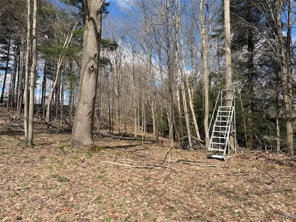 $49,900 | Broadway Road, Gowanda, NY 14070
