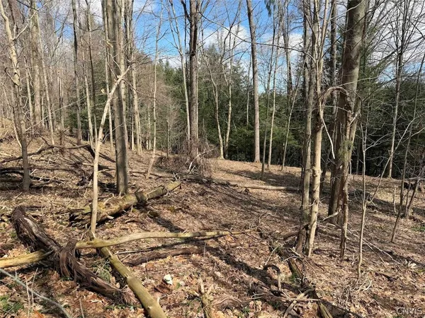 $49,900 | Broadway Road, Gowanda, NY 14070