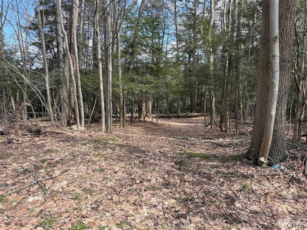 Broadway Road Gowanda, NY 14070 - Photo 10 of 31