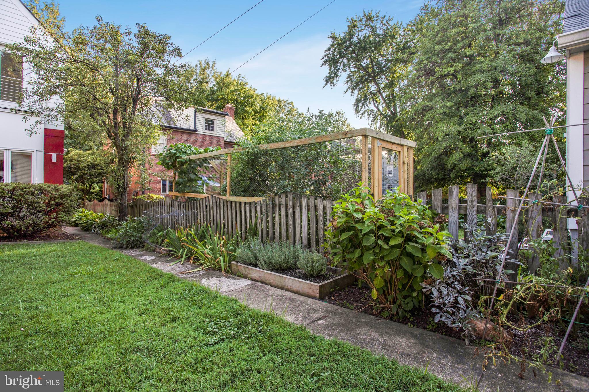 3339 Military Road Northwest Washington, DC 20015 - Photo 59 of 69 Garden!