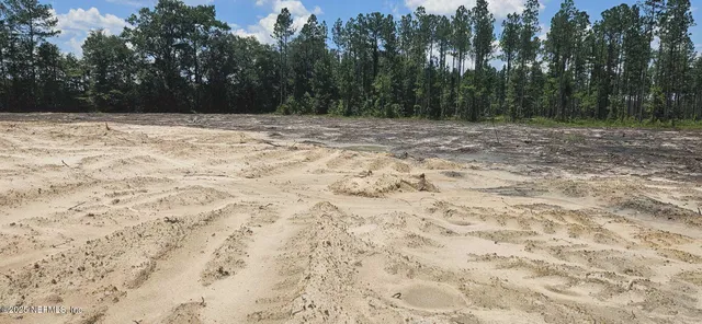 a view of a big yard with lots of bushes