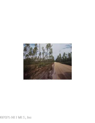 a picture of a person