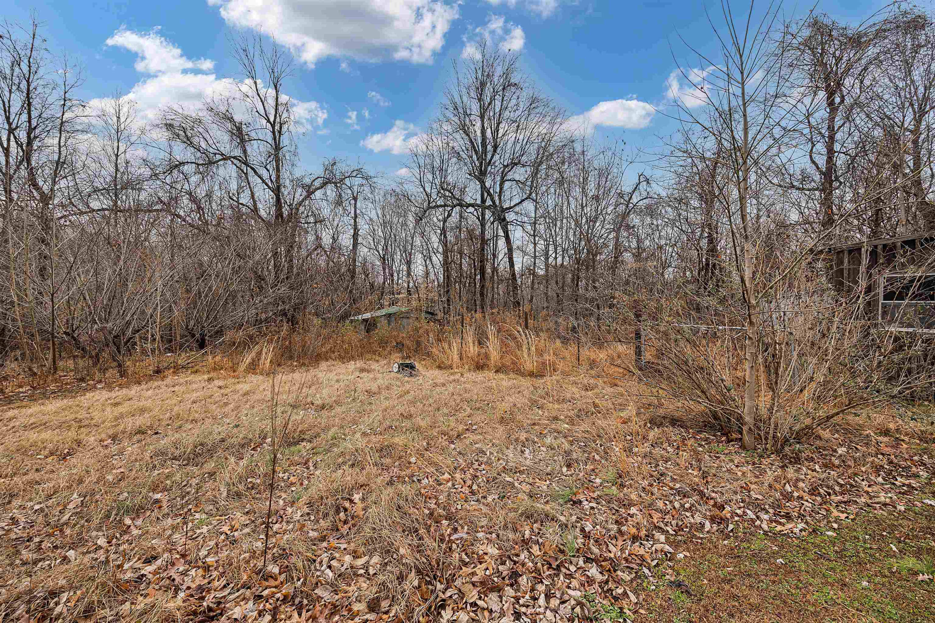 2329 Treece Road Hornbeak, TN 38232 - Photo 16 of 16 Photo 16