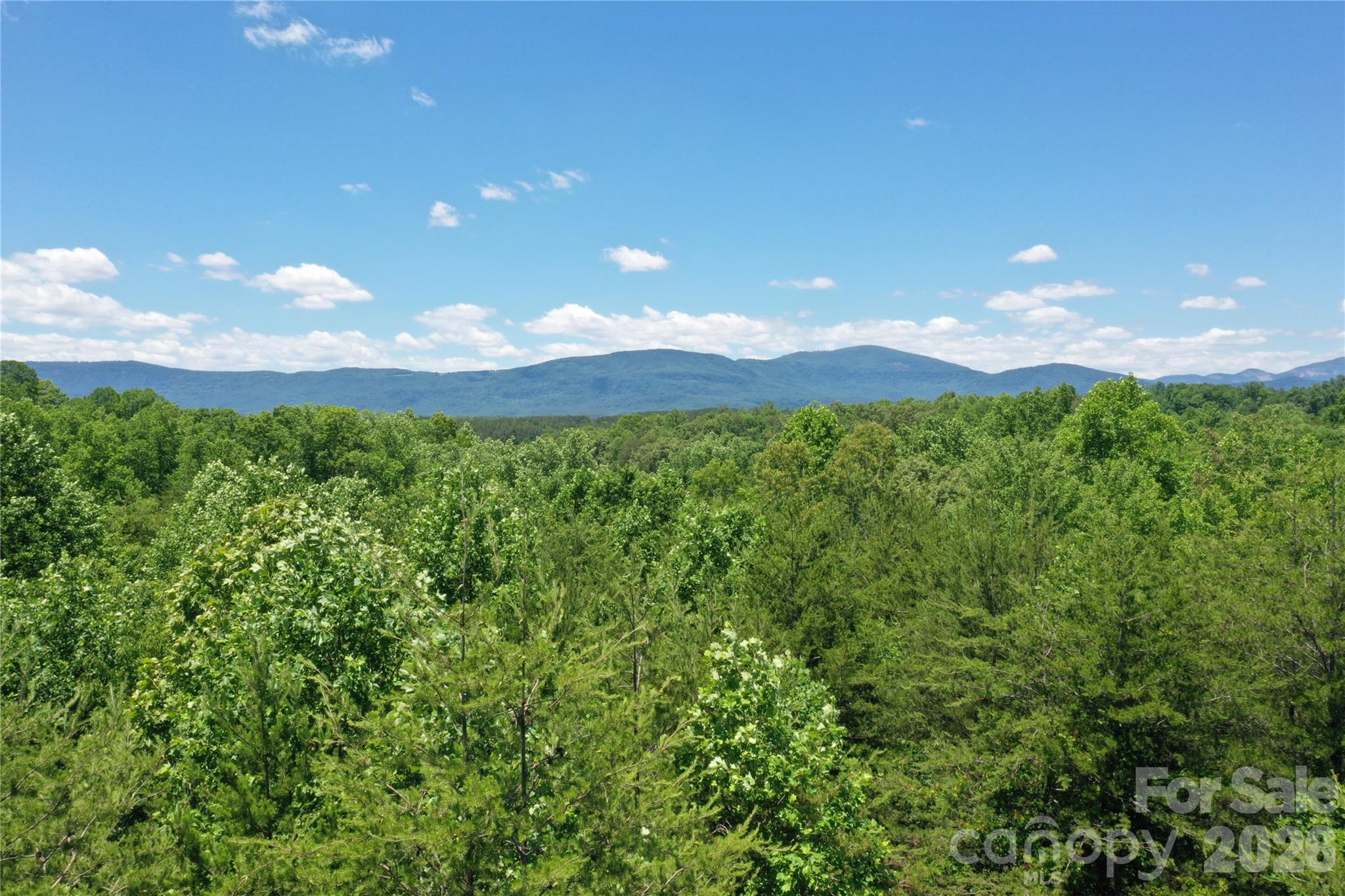 0 Burt Blackwell Road Mill Spring, NC 28756 - Photo 1 of 10