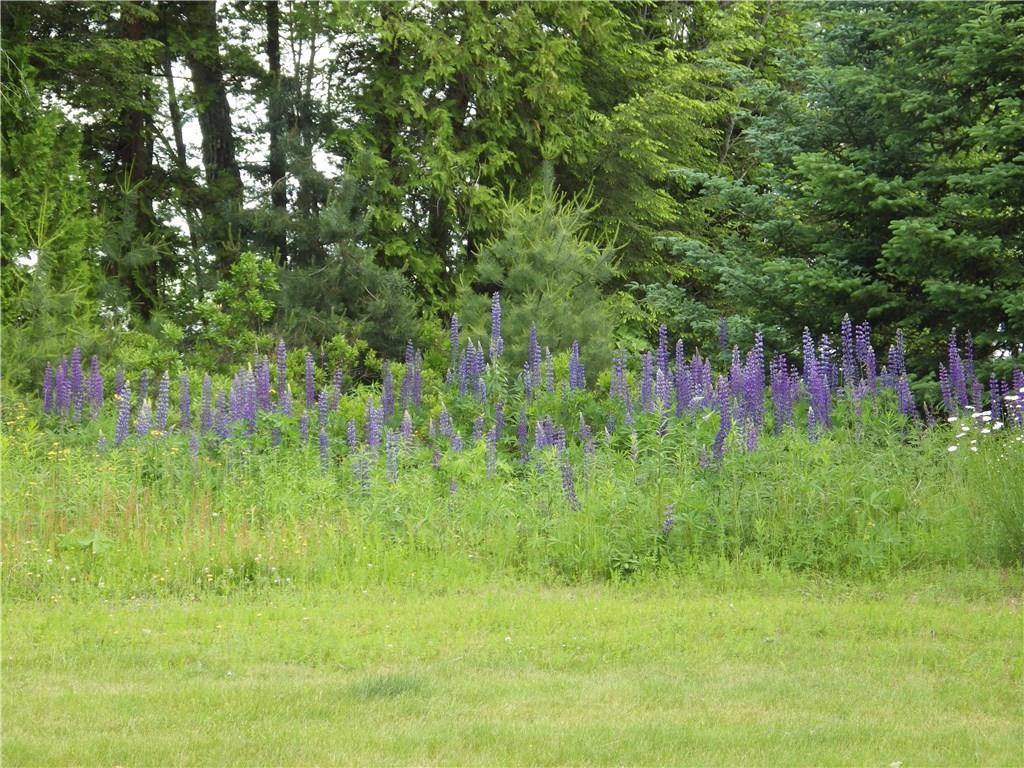 125 Fire Rd S6 B Belgrade, ME 04917 - Photo 26 of 26 Natural landscaping.