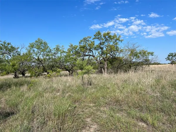 a view of a field with trees in the background