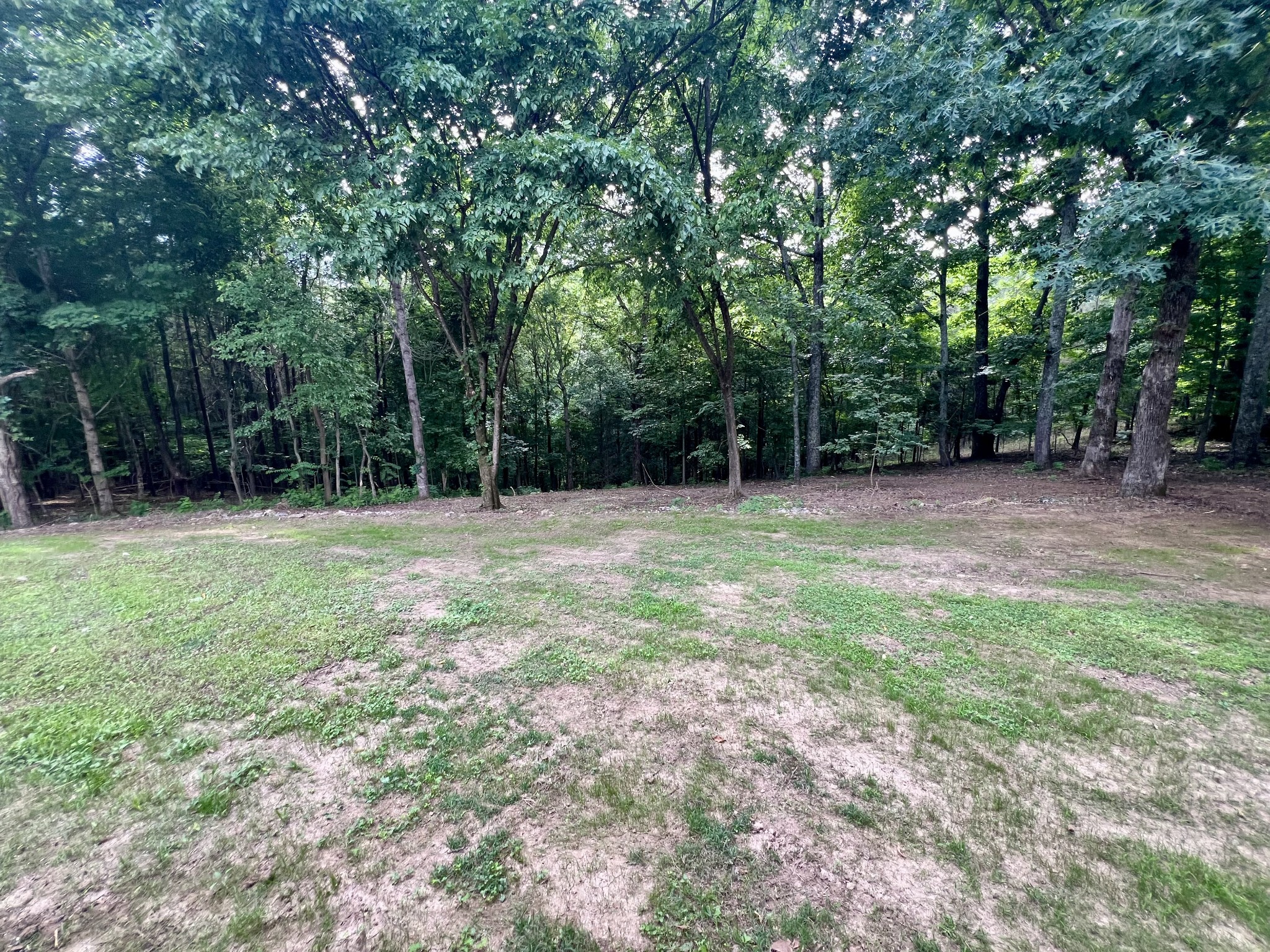 499 Scenic Hills Road Pulaski, TN 38478 - Photo 64 of 65