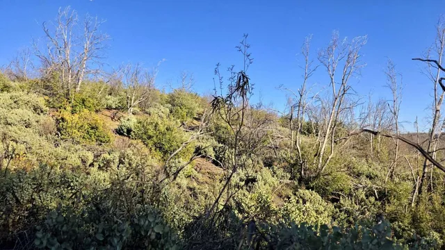 $59,997 | 0 Doster Road, Mountain Ranch, CA 95246