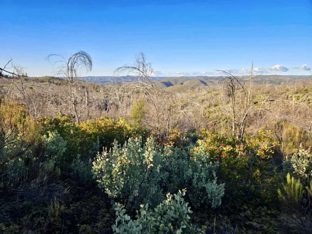 $59,997 | 0 Doster Road, Mountain Ranch, CA 95246