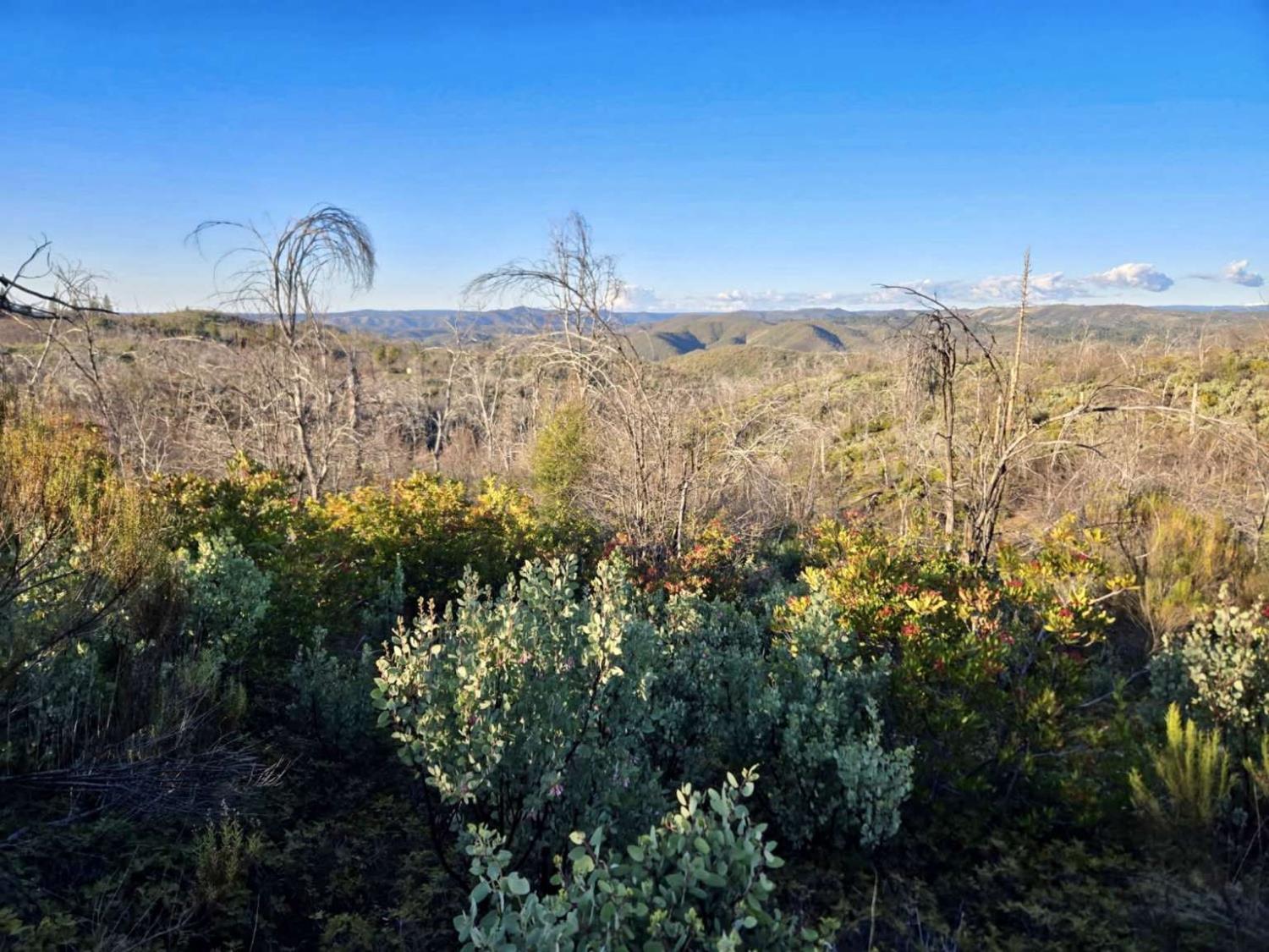 0 Doster Road Mountain Ranch, CA 95246 - Photo 4 of 26