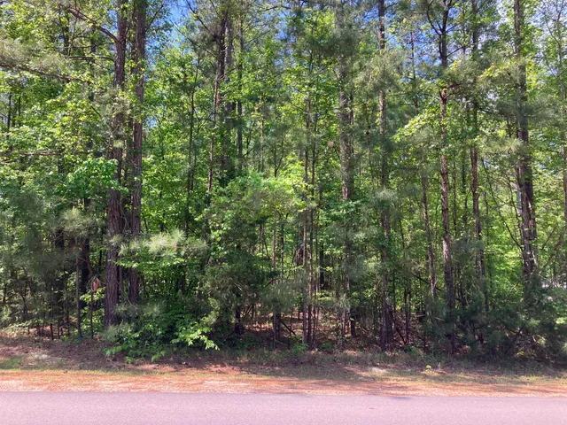 $20,000 | 104 Crescent Drive, McCormick, SC 29835
