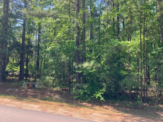 $20,000 | 104 Crescent Drive, McCormick, SC 29835