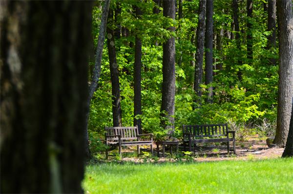 19 Oak Ridge Road Littleton, MA 01460 - Photo 28 of 30 a view of a chair and table in backyard of a house