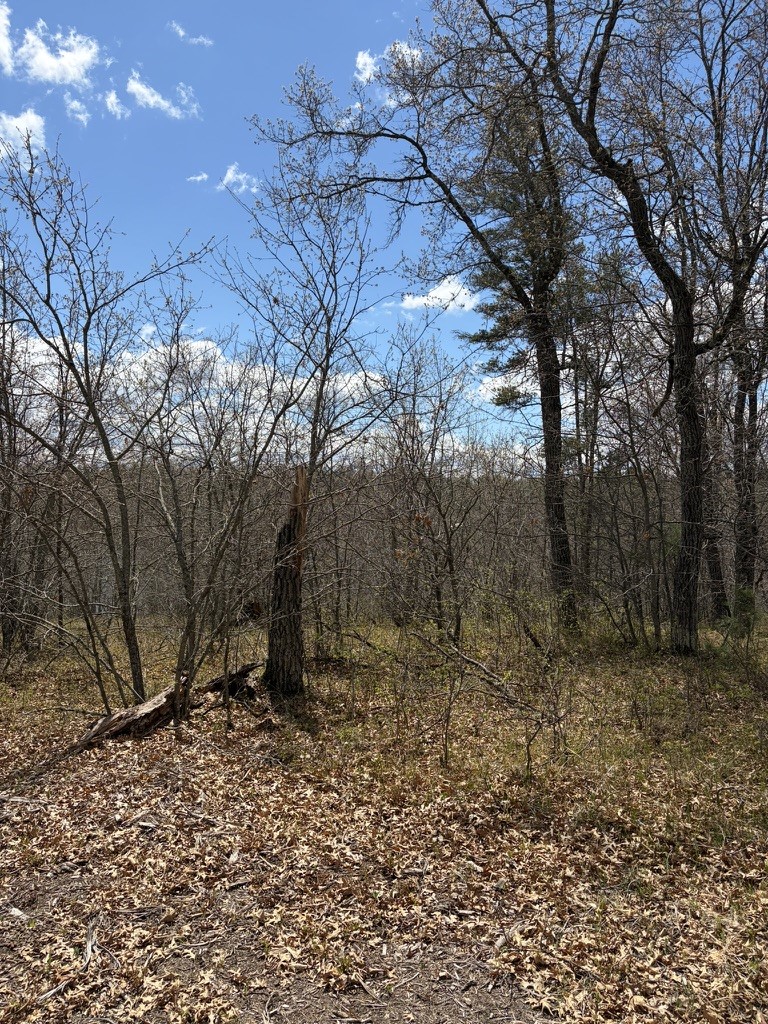 Lot 2 Sleepy Eye Road Minong, WI 54859 - Photo 6 of 10