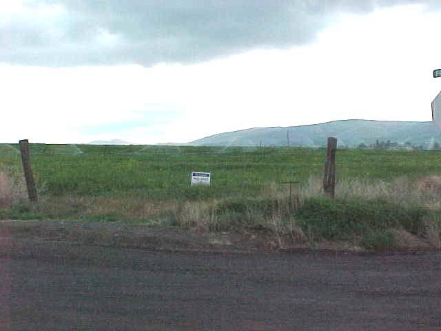 a view of a field with an ocean