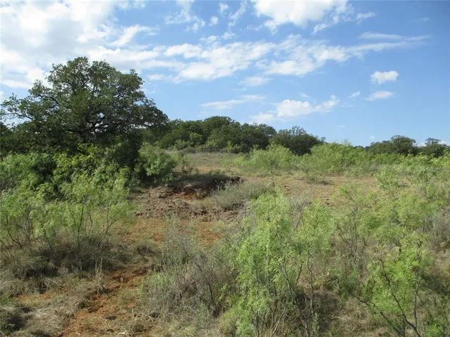 a view of a field of grass and trees