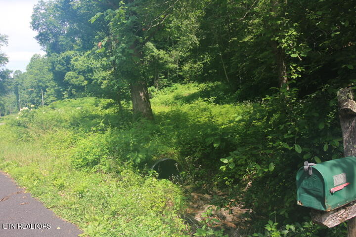 Tbd Carrs Creek Road Walland, TN 37886 - Photo 2 of 4 Lot 1 Carrs Creek 002