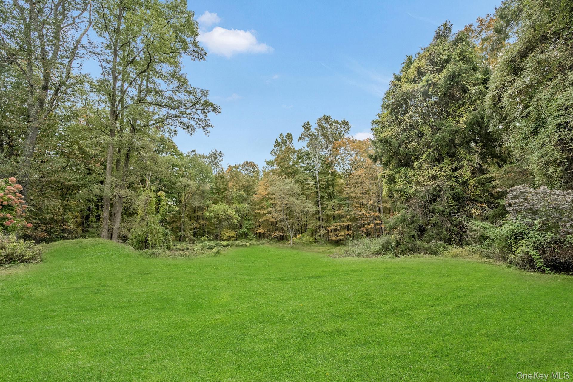 209 Hardscrabble Road North Salem, NY 10560 - Photo 37 of 40 a view of a trees with a yard
