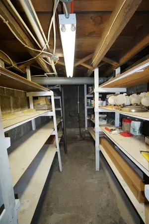 a front view of a house with yard and windows