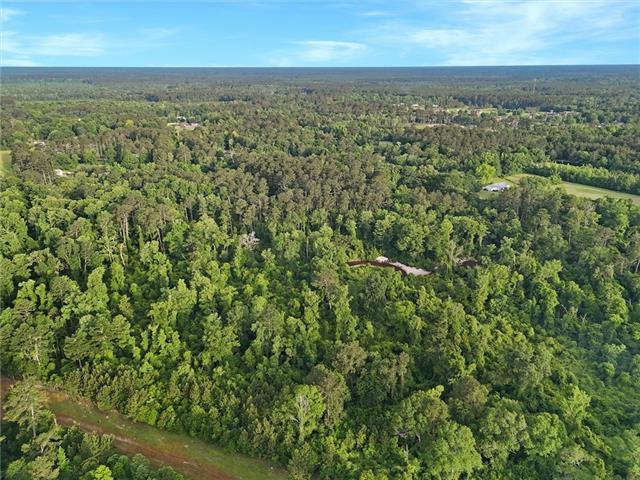 30062 Herman Bankston Road Albany, LA 70711 - Photo 3 of 5