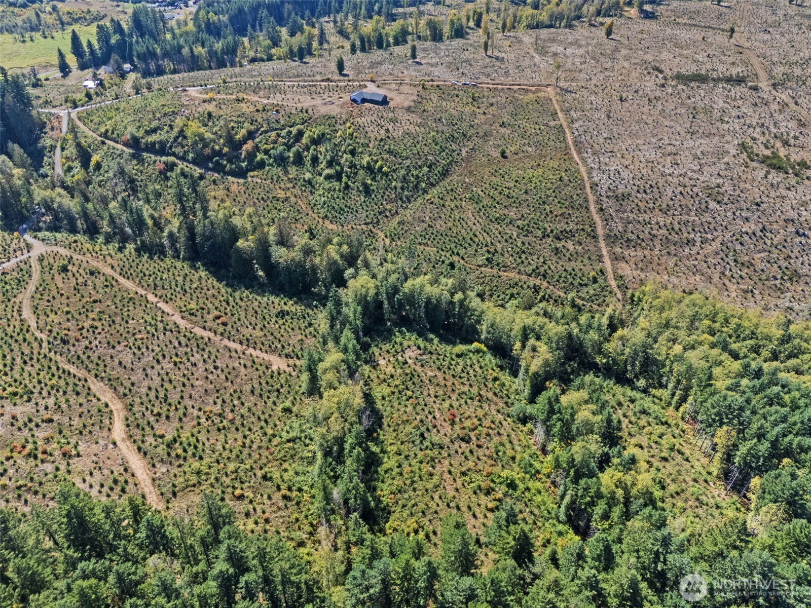 4 Macomber Street West Chehalis, WA 98532 - Photo 2 of 10 a view of a yard with plants and large trees