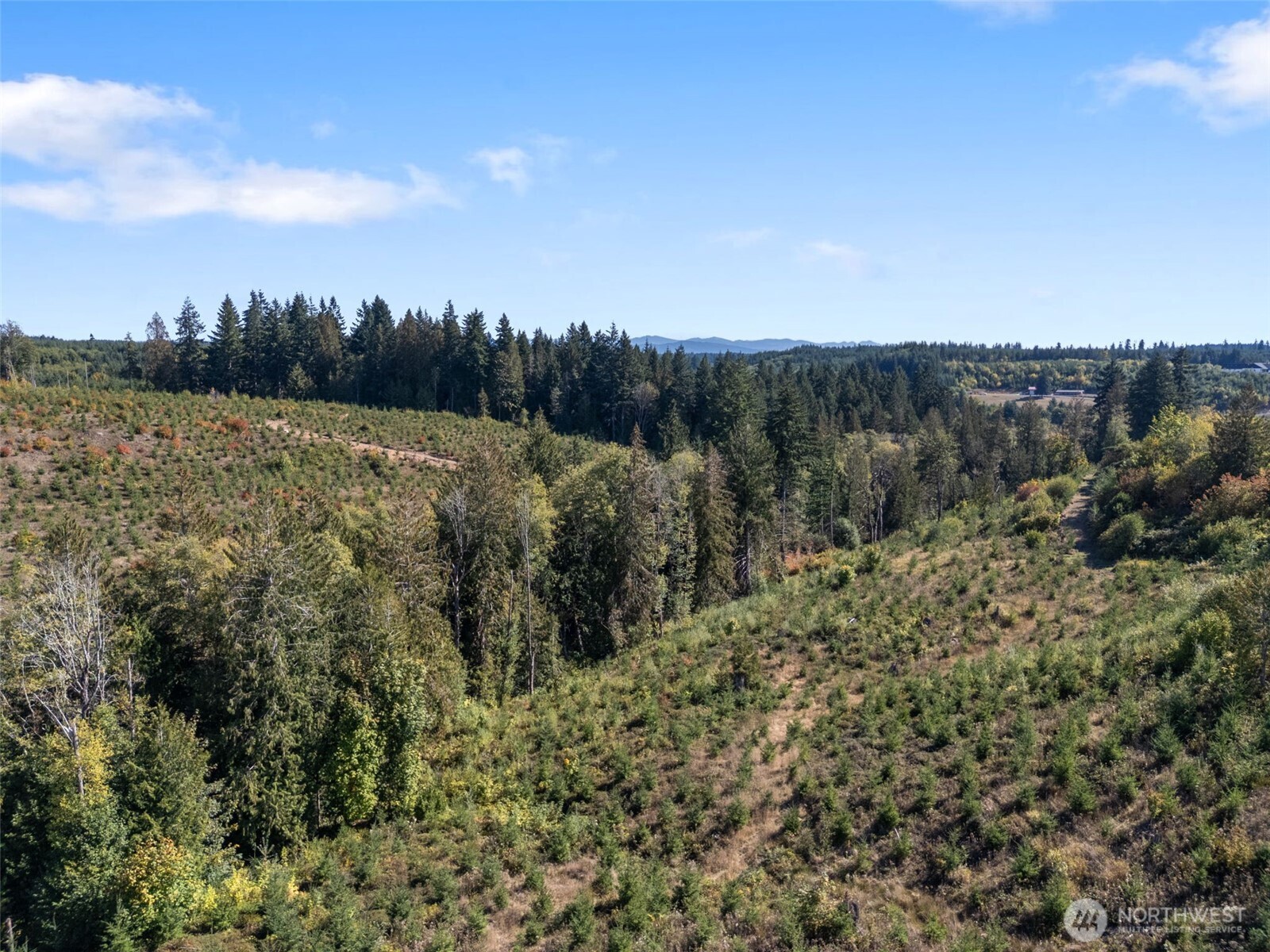 4 Macomber Street West Chehalis, WA 98532 - Photo 3 of 10 a view of a green field with lots of bushes