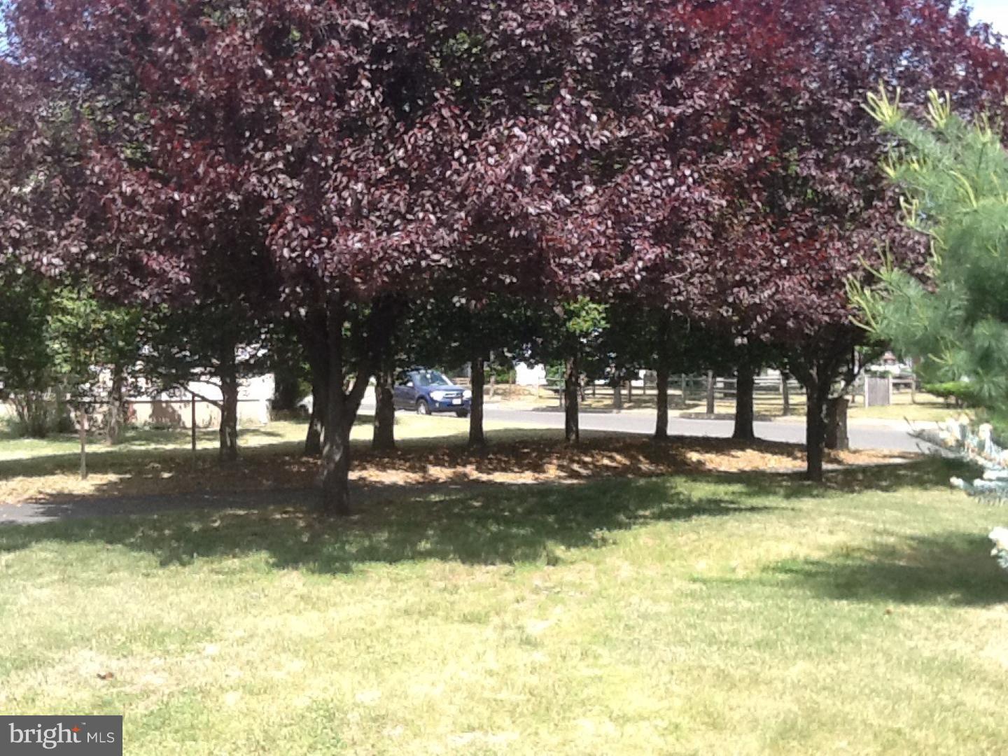 501 Dauphin Street Riverside, NJ 08075 - Photo 19 of 22