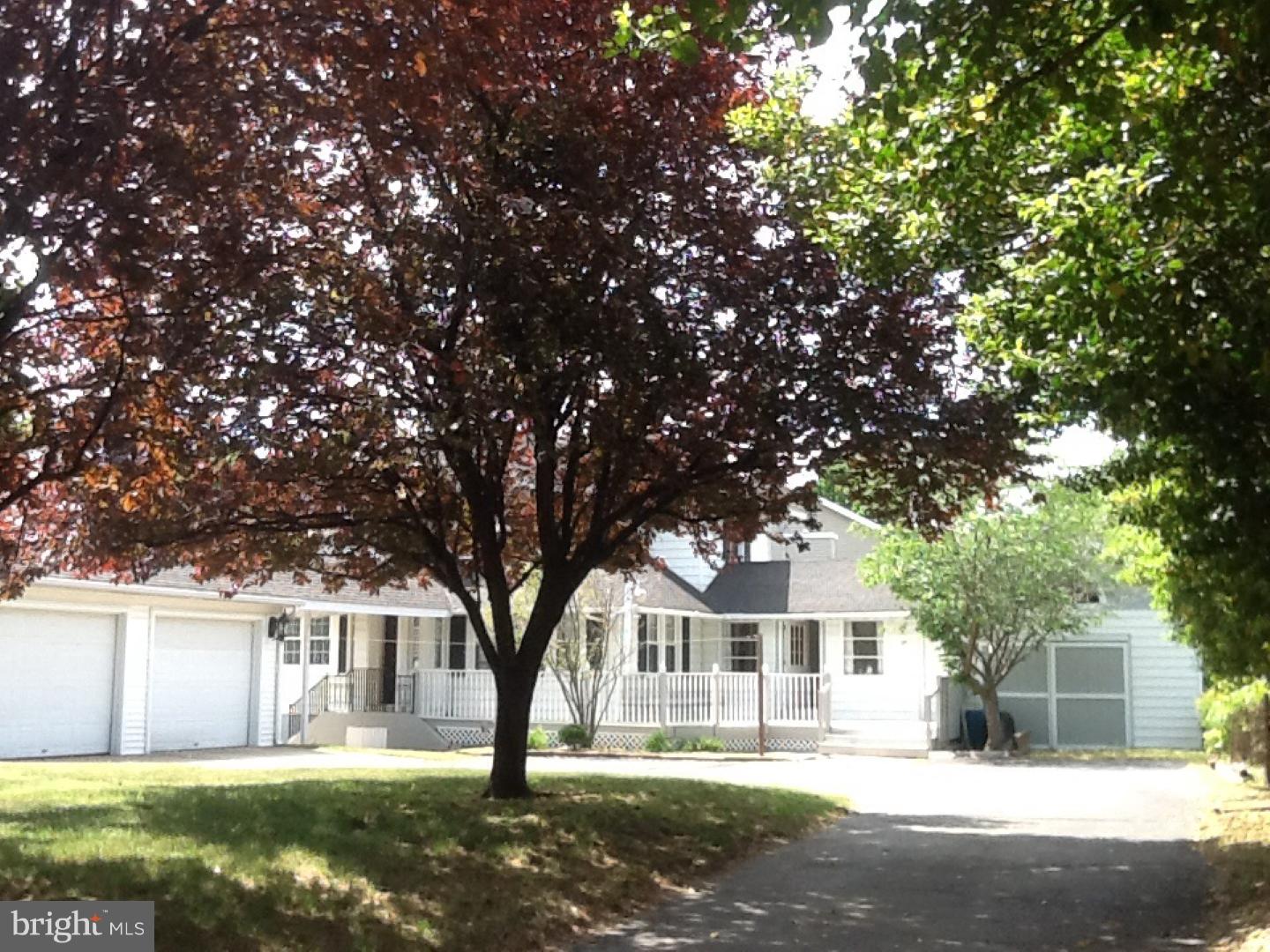 501 Dauphin Street Riverside, NJ 08075 - Photo 3 of 22