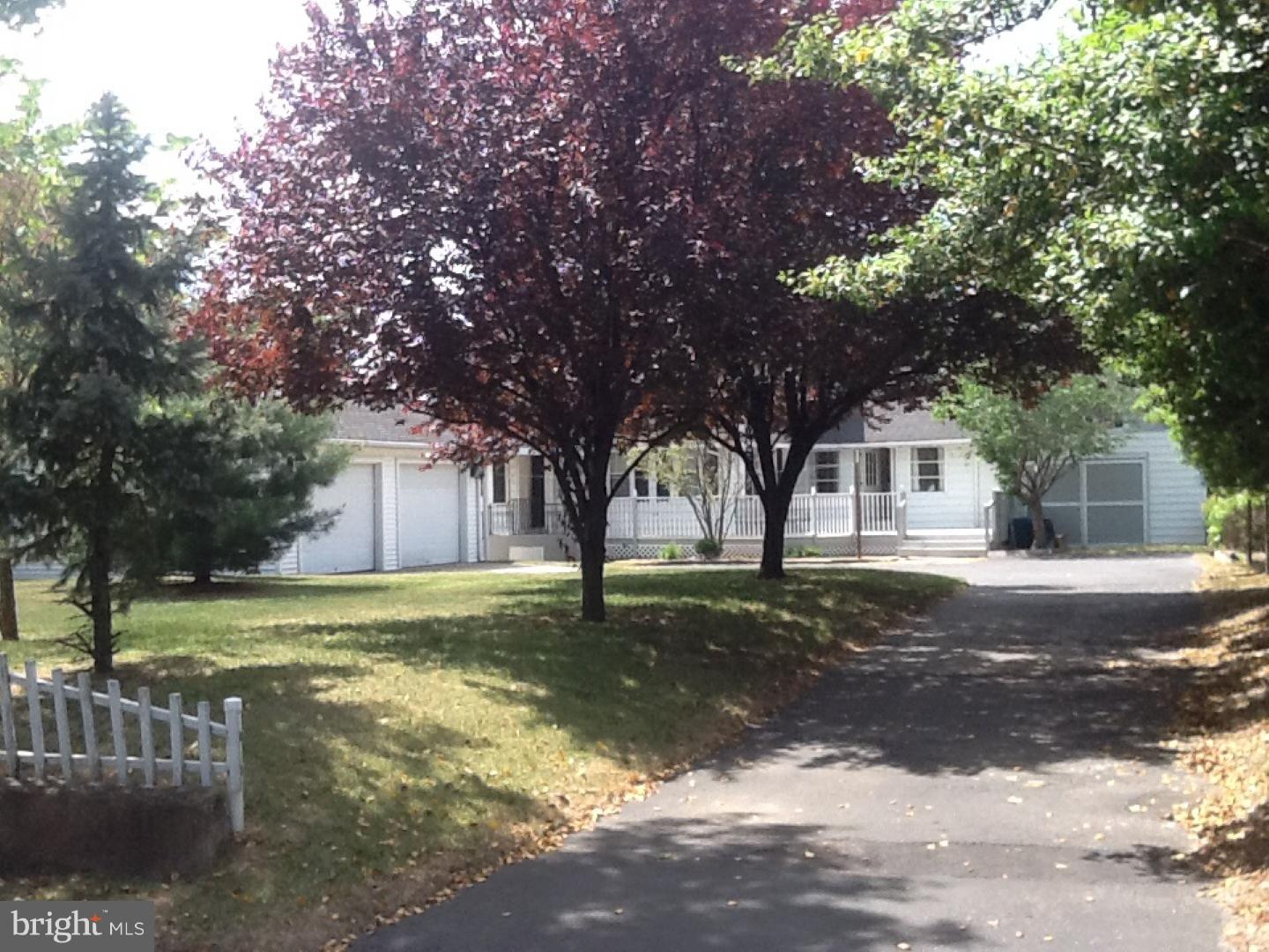 501 Dauphin Street Riverside, NJ 08075 - Photo 4 of 22