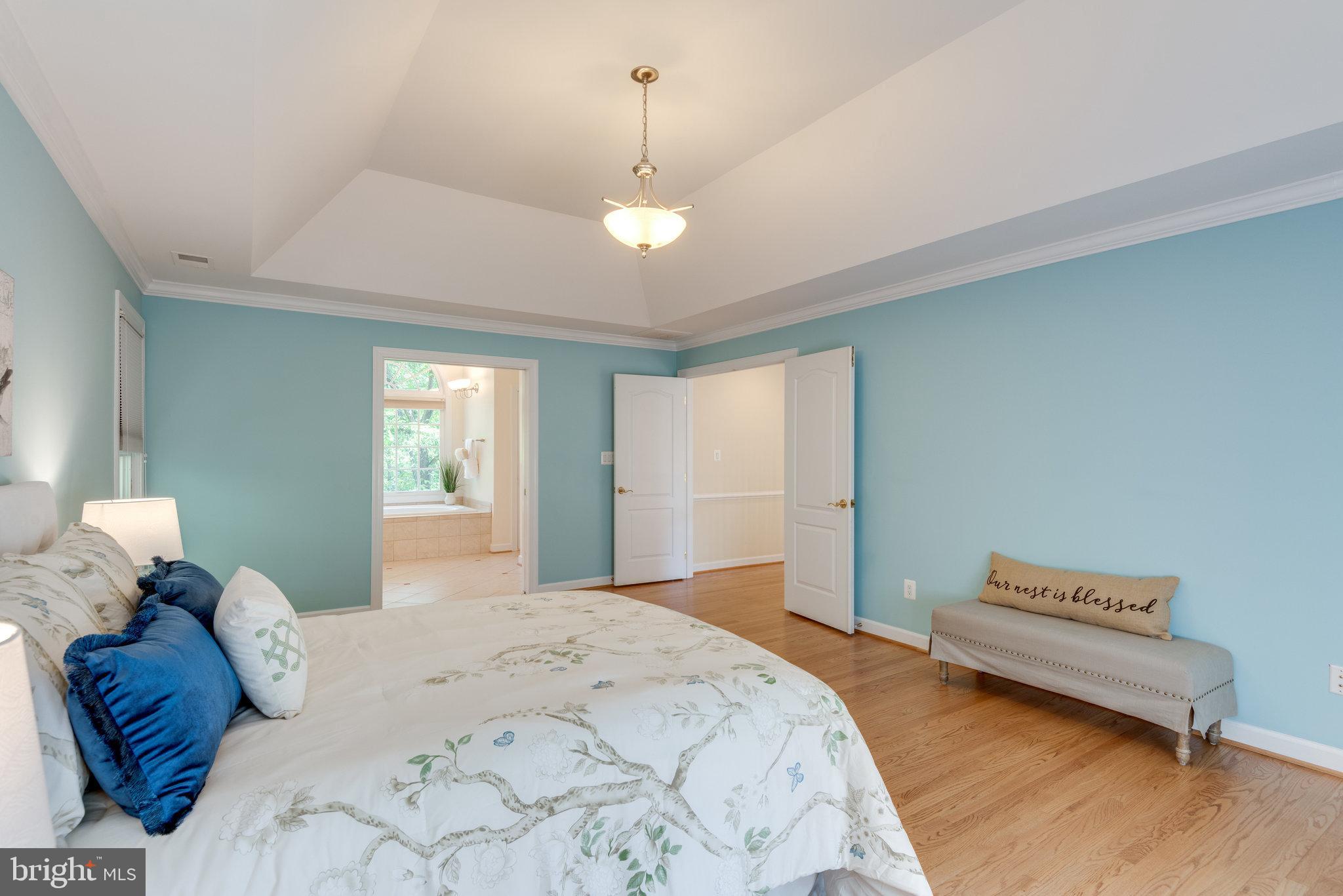 12104 North Walnut Branch Road Reston, VA 20194 - Photo 31 of 70 Primary Bedroom with tray ceiling & crown molding