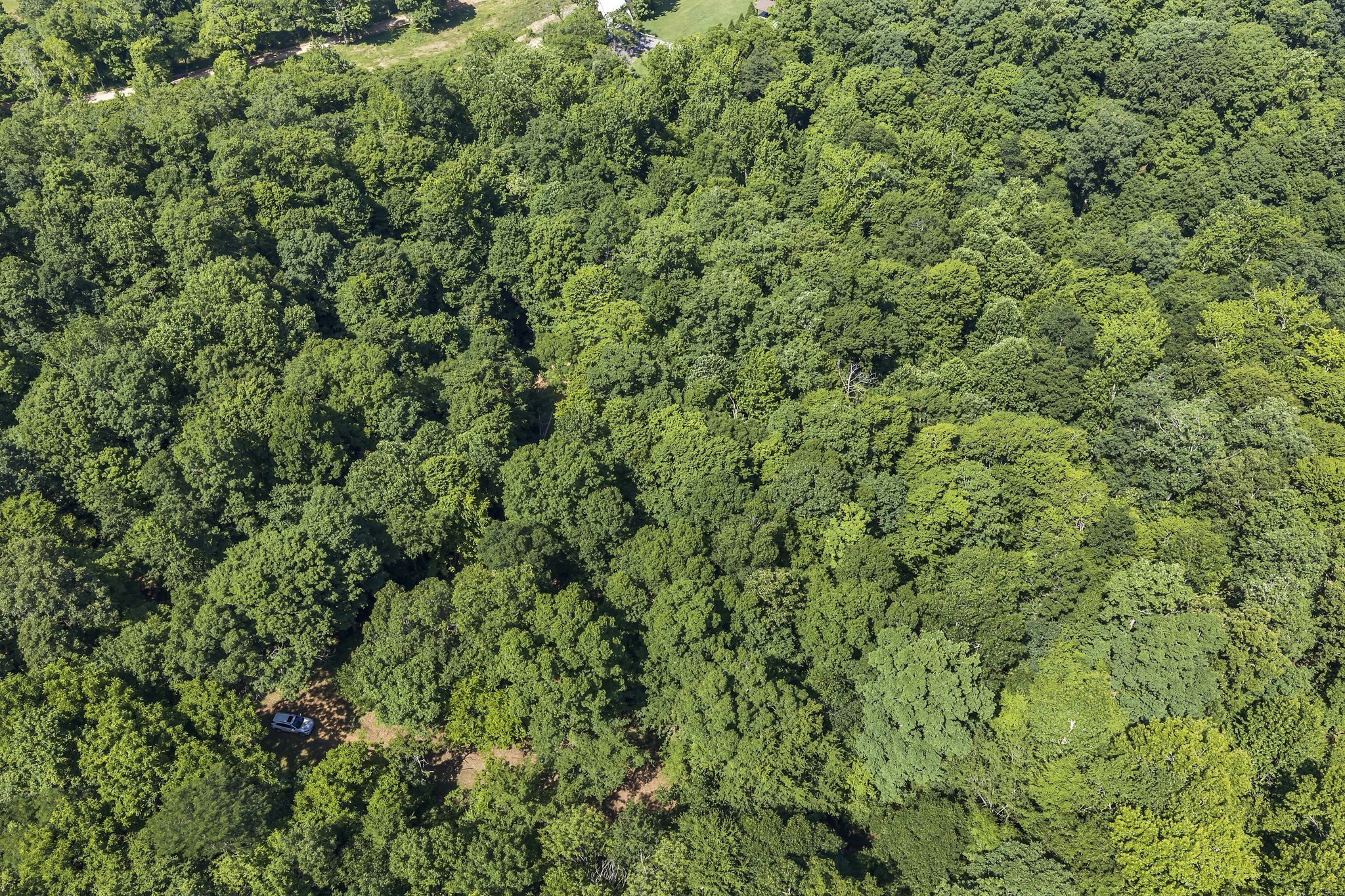 0 East Blue Creek Road McEwen, TN 37101 - Photo 13 of 17