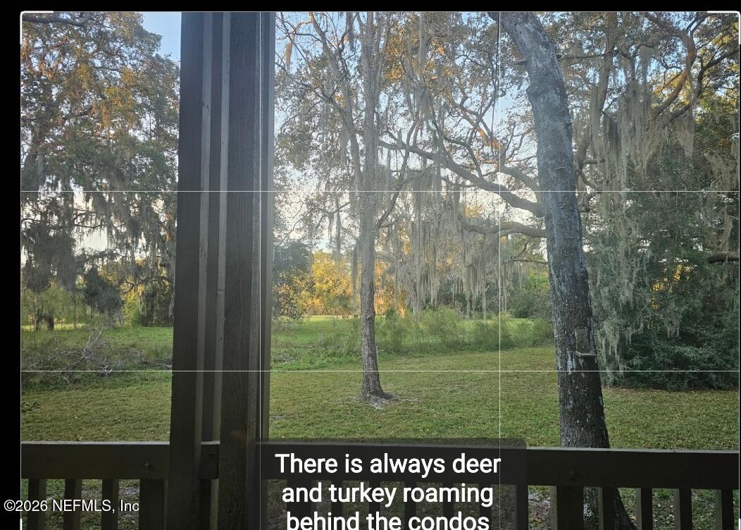 3175 Ravines Road, Unit 3702 Middleburg, FL 32068 - Photo 28 of 30 1000046277
