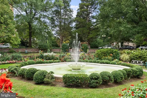 a view of a backyard with plants and large trees