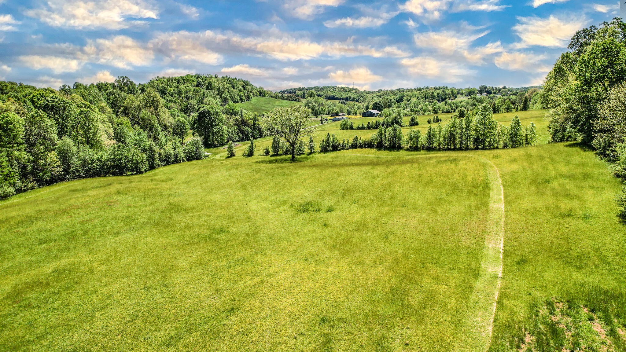 5 Holly Creek Road Greeneville, TN 37745 - Photo 11 of 25 DJI_0203-Edit