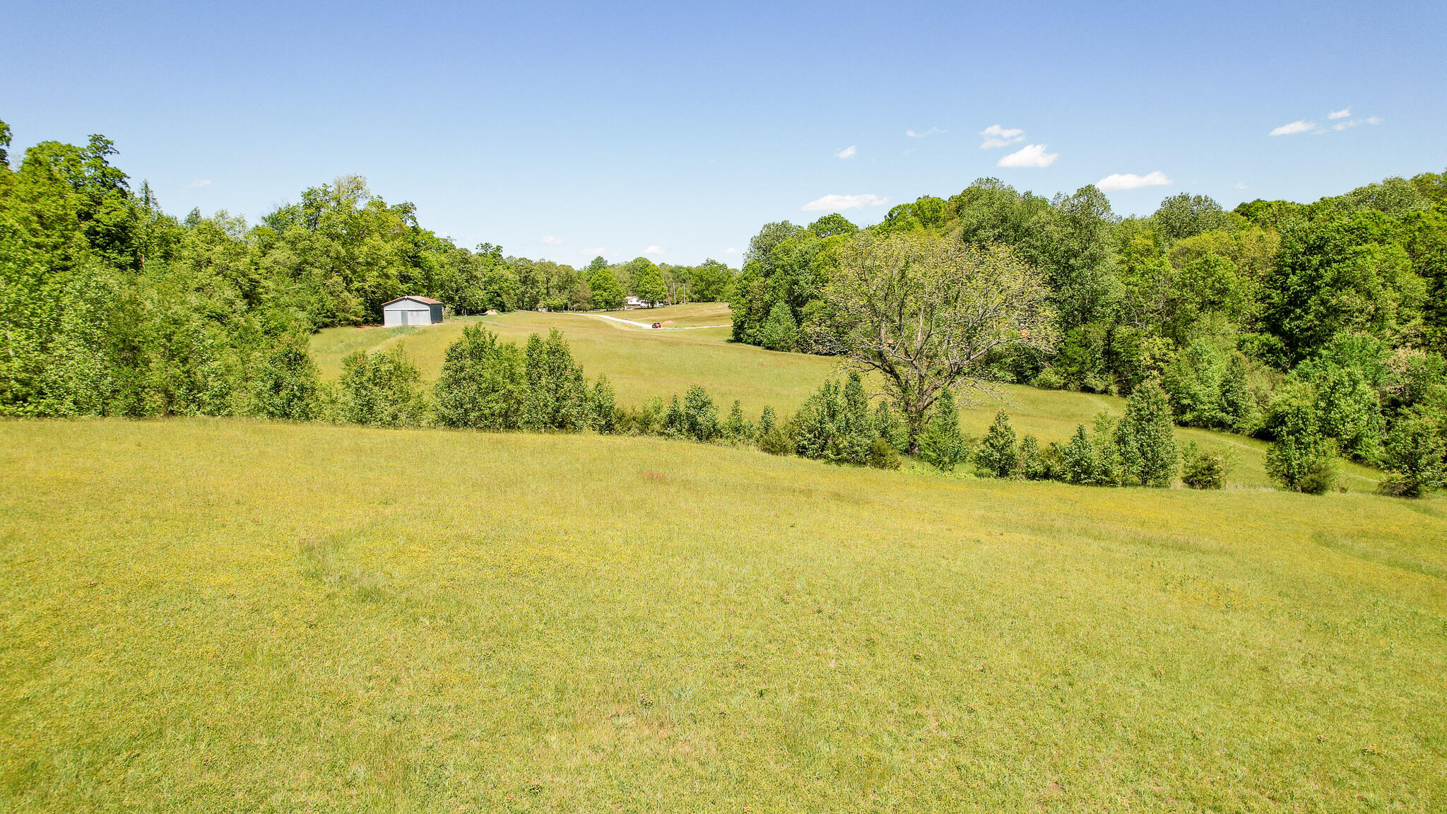 5 Holly Creek Road Greeneville, TN 37745 - Photo 20 of 25 DJI_0214