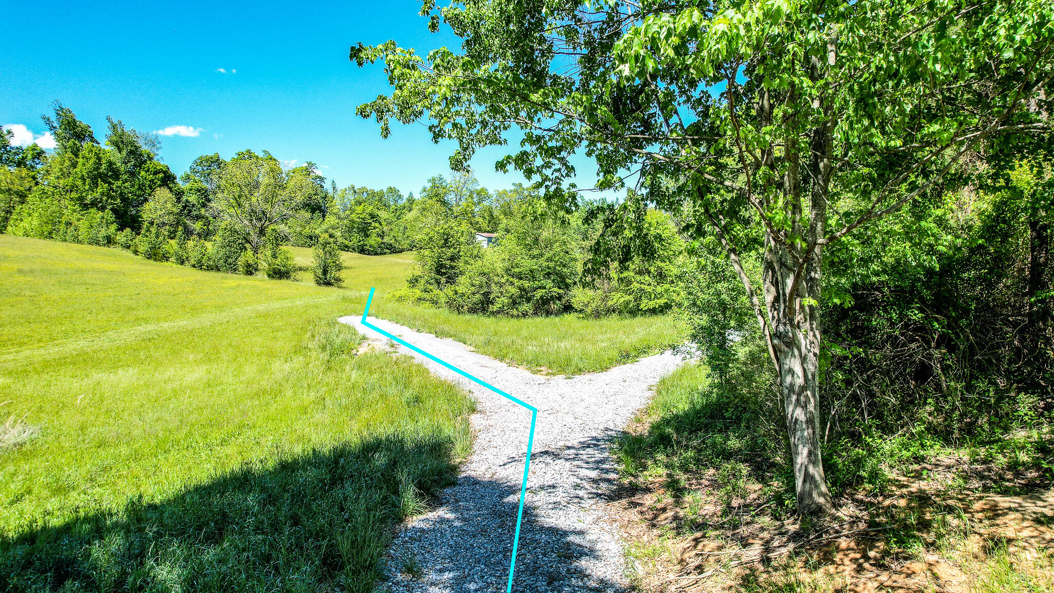 5 Holly Creek Road Greeneville, TN 37745 - Photo 2 of 25 DJI_0222-Edit