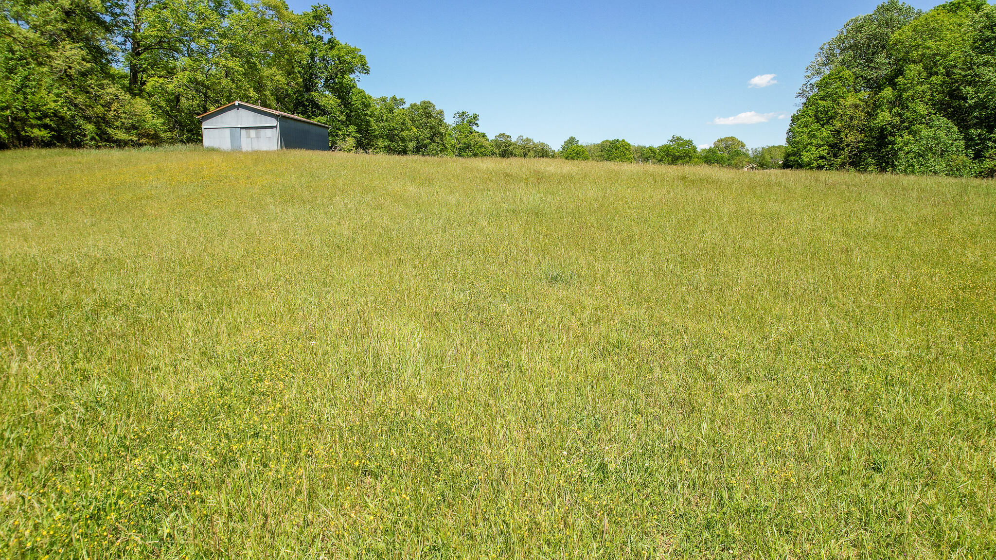 5 Holly Creek Road Greeneville, TN 37745 - Photo 23 of 25 DJI_0218