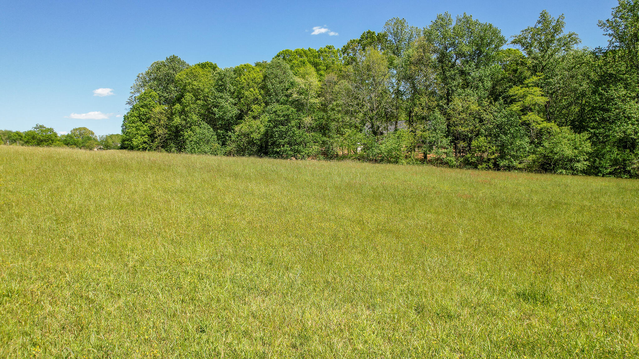 5 Holly Creek Road Greeneville, TN 37745 - Photo 24 of 25 DJI_0219