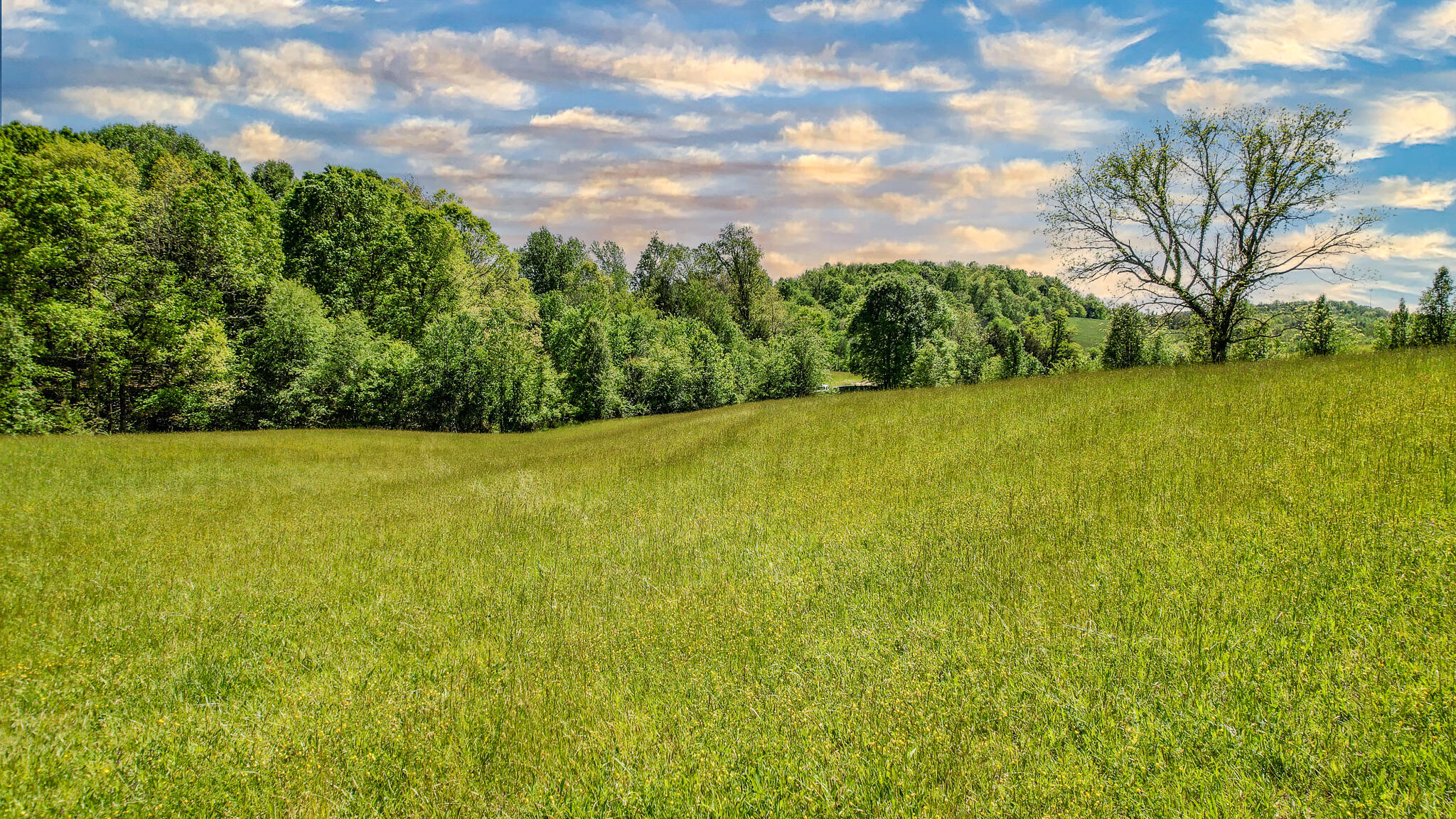 5 Holly Creek Road Greeneville, TN 37745 - Photo 25 of 25 DJI_0220-Edit