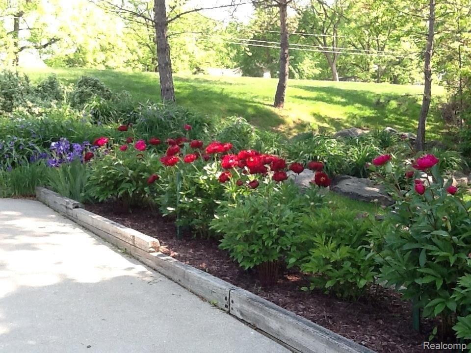 3291 Lahring Road Linden, MI 48451 - Photo 48 of 49 lahring 10.jpg