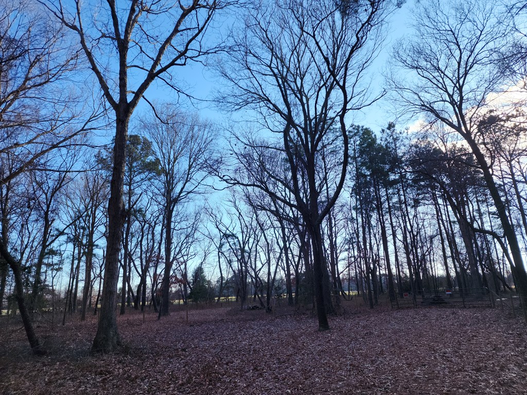 Lot 4 Church Neck Road, Unit 4D Machipongo, VA 23405 - Photo 5 of 6
