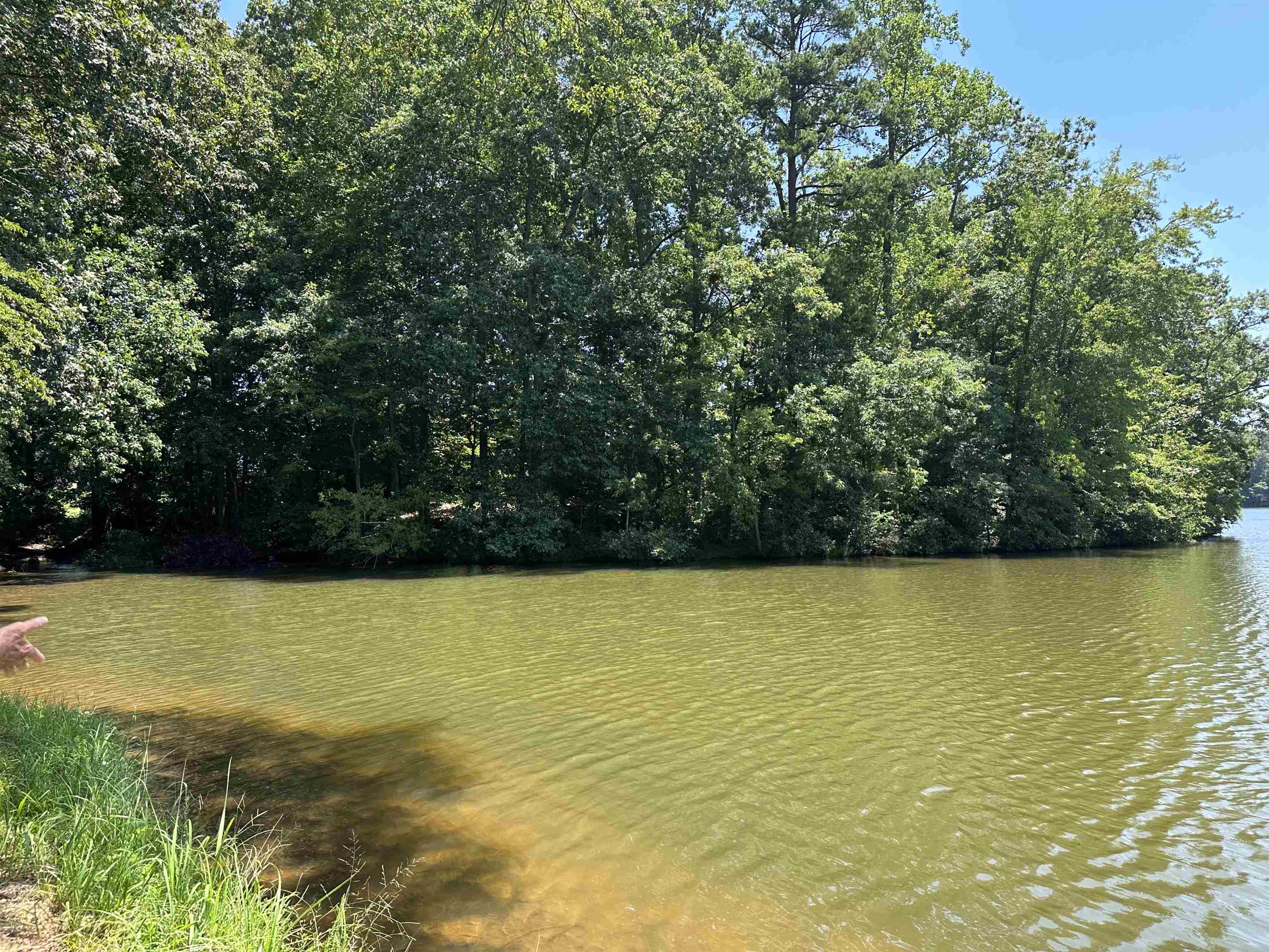 00 Berry Shoals Road Duncan, SC 29334 - Photo 3 of 6