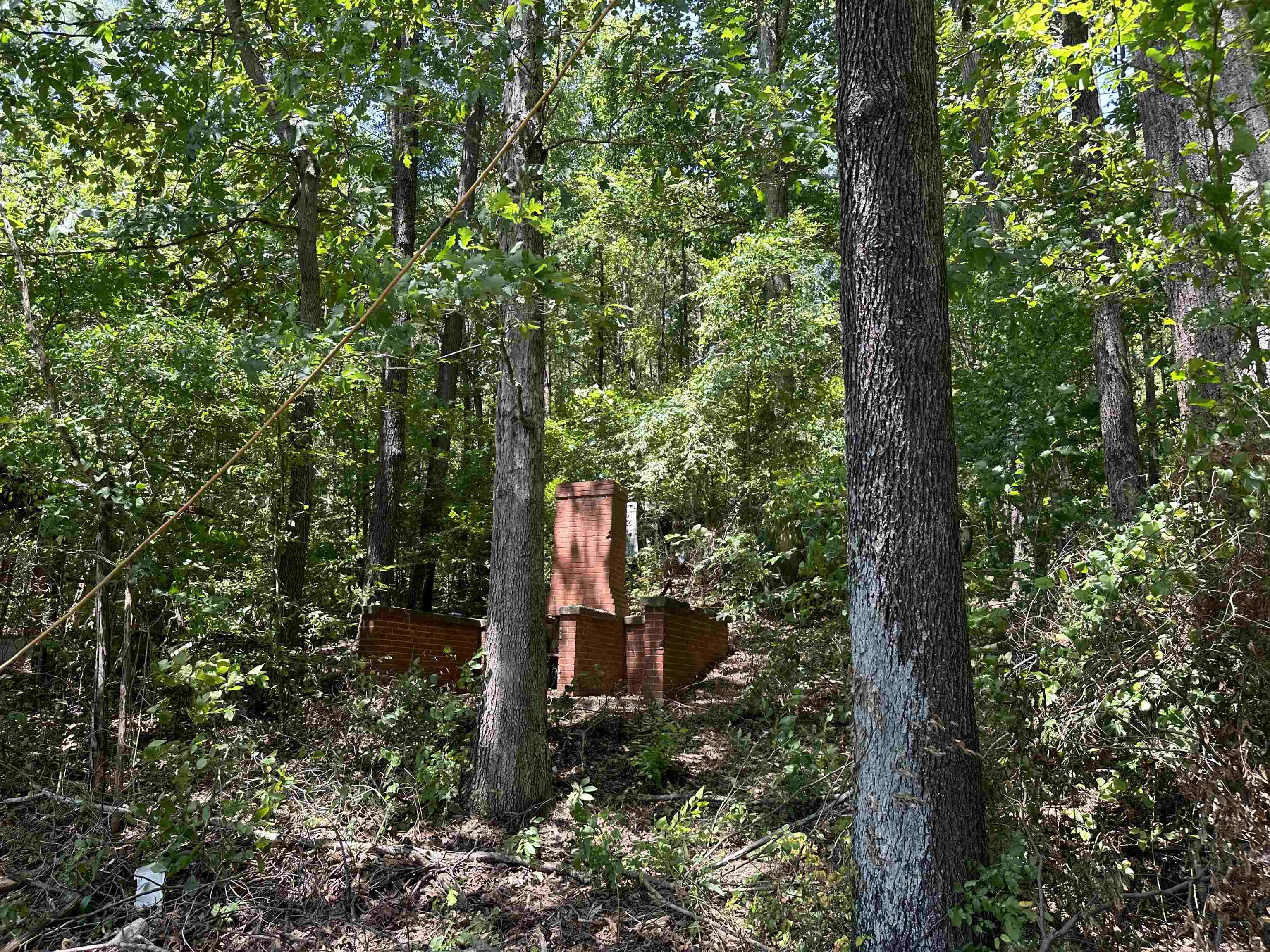 00 Berry Shoals Road Duncan, SC 29334 - Photo 5 of 6