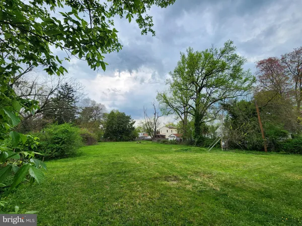 a view of a big yard with plants and large trees