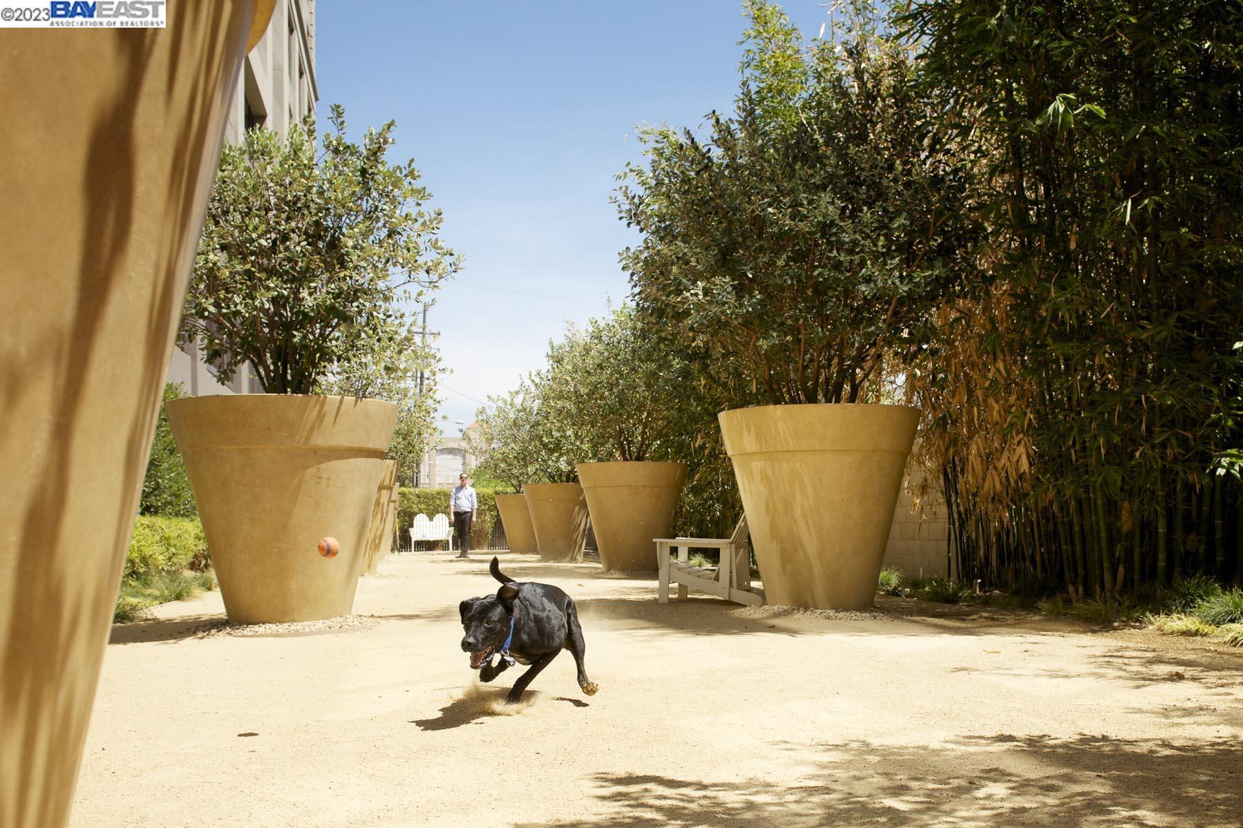 311 2nd Street, Unit 804 Oakland, CA 94607 - Photo 11 of 17 a view of a backyard